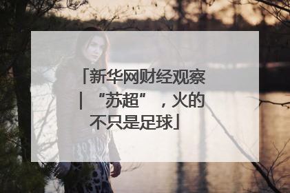 新华网财经观察｜“苏超”，火的不只是足球