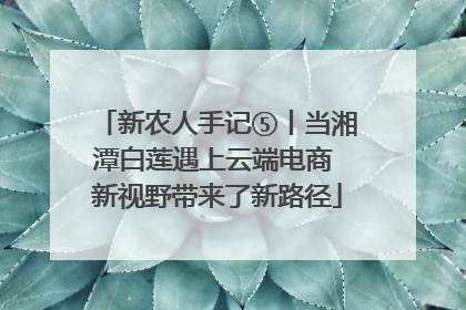 新农人手记⑤丨当湘潭白莲遇上云端电商 新视野带来了新路径
