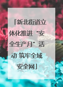 新北街道立体化推进“安全生产月”活动 筑牢全域安全网