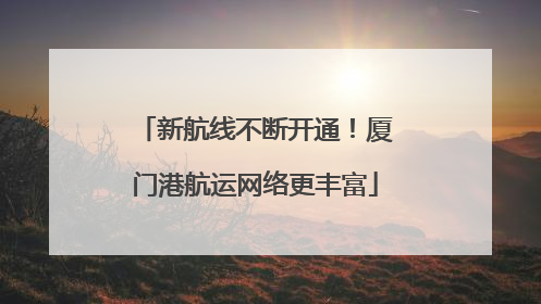 新航线不断开通！厦门港航运网络更丰富