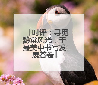 时评：寻觅黔常风光，于最美中书写发展答卷