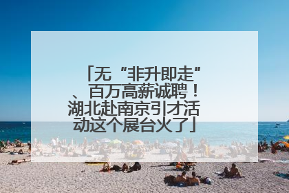 无“非升即走”、百万高薪诚聘！湖北赴南京引才活动这个展台火了