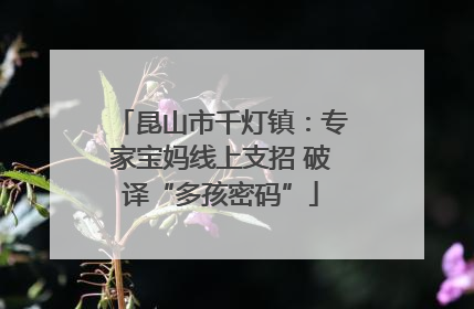 昆山市千灯镇：专家宝妈线上支招 破译“多孩密码”