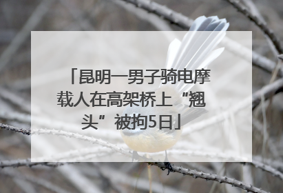 昆明一男子骑电摩载人在高架桥上“翘头”被拘5日
