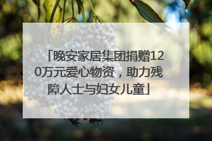 晚安家居集团捐赠120万元爱心物资，助力残障人士与妇女儿童
