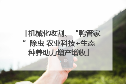 机械化收割、“鸭管家”除虫 农业科技+生态种养助力增产增收