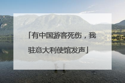 有中国游客死伤，我驻意大利使馆发声