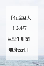 有脸盆大！3.4斤巨型牛肝菌现身云南