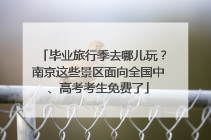 毕业旅行季去哪儿玩？南京这些景区面向全国中、高考考生免费了