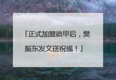 正式加盟德甲后，樊振东发文送祝福！