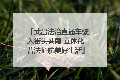 武昌法治直通车驶入街头巷尾 立体化普法护航美好生活