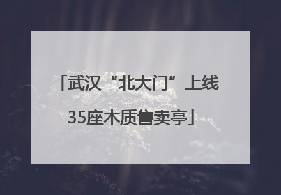 武汉“北大门”上线35座木质售卖亭