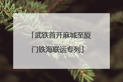 武铁首开麻城至厦门铁海联运专列
