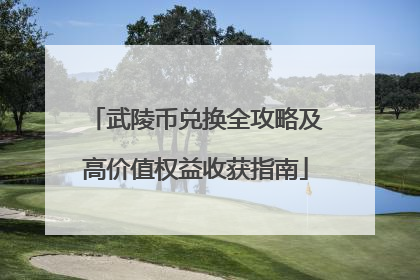 武陵币兑换全攻略及高价值权益收获指南