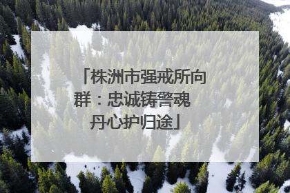 株洲市强戒所向群：忠诚铸警魂 丹心护归途