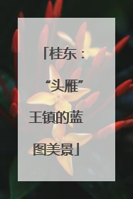 桂东：“头雁”王镇的蓝图美景