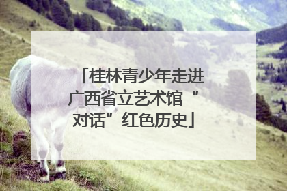 桂林青少年走进广西省立艺术馆“对话”红色历史
