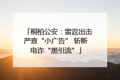 桐柏公安：雷霆出击严查“小广告” 斩断电诈“黑引流”