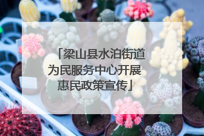 梁山县水泊街道为民服务中心开展惠民政策宣传