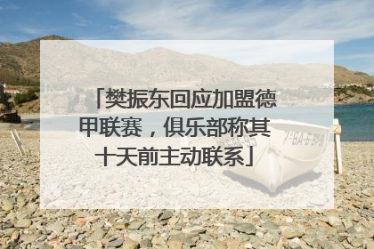 樊振东回应加盟德甲联赛，俱乐部称其十天前主动联系