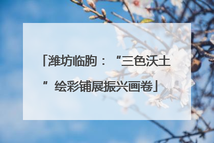 潍坊临朐：“三色沃土”绘彩铺展振兴画卷
