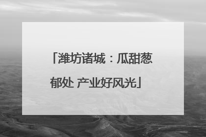 潍坊诸城：瓜甜葱郁处 产业好风光