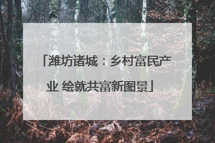 潍坊诸城：乡村富民产业 绘就共富新图景