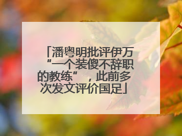 潘粤明批评伊万“一个装傻不辞职的教练”，此前多次发文评价国足