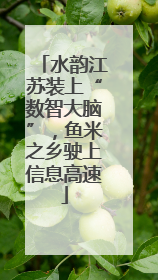 水韵江苏装上“数智大脑”，鱼米之乡驶上信息高速