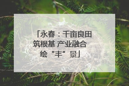 永春：千亩良田筑根基 产业融合绘“丰”景