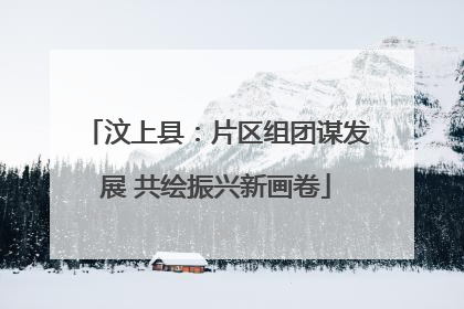 汶上县：片区组团谋发展 共绘振兴新画卷