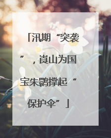 汛期“突袭”，崀山为国宝朱鹮撑起“保护伞”
