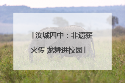 汝城四中：非遗薪火传 龙舞进校园
