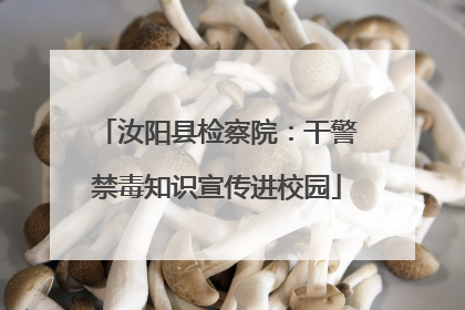汝阳县检察院：干警禁毒知识宣传进校园