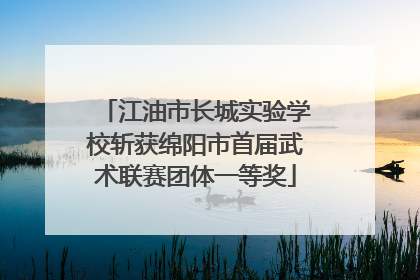 江油市长城实验学校斩获绵阳市首届武术联赛团体一等奖