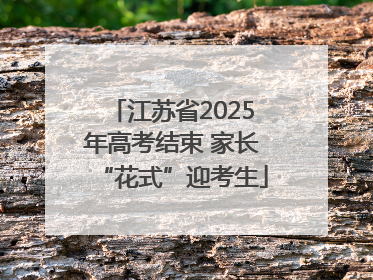 江苏省2025年高考结束 家长“花式”迎考生