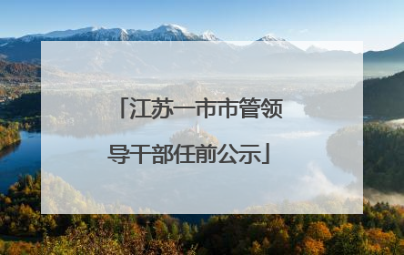 江苏一市市管领导干部任前公示