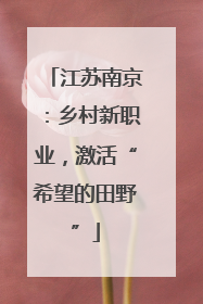 江苏南京：乡村新职业，激活“希望的田野”