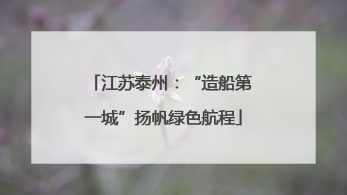 江苏泰州：“造船第一城”扬帆绿色航程