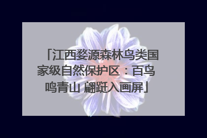 江西婺源森林鸟类国家级自然保护区：百鸟鸣青山 翩跹入画屏