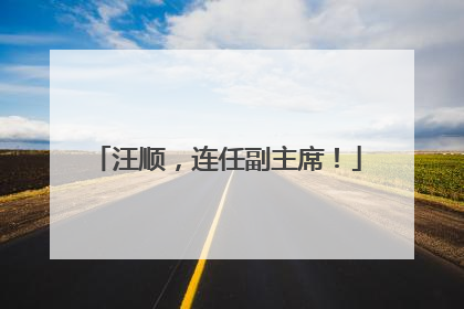 汪顺，连任副主席！