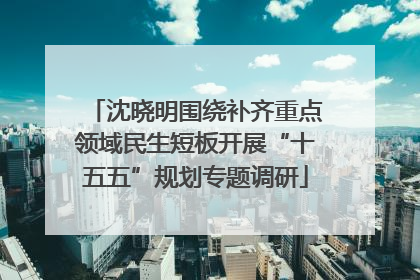 沈晓明围绕补齐重点领域民生短板开展“十五五”规划专题调研