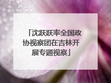 沈跃跃率全国政协视察团在吉林开展专题视察