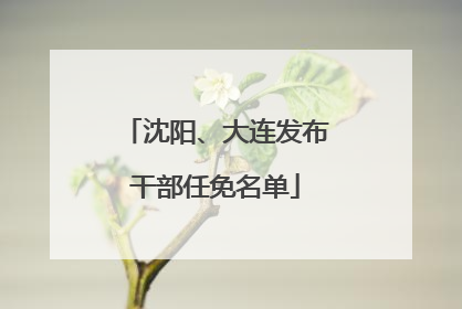 沈阳、大连发布干部任免名单