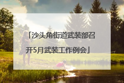 沙头角街道武装部召开5月武装工作例会