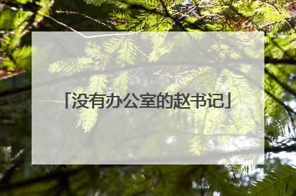 没有办公室的赵书记
