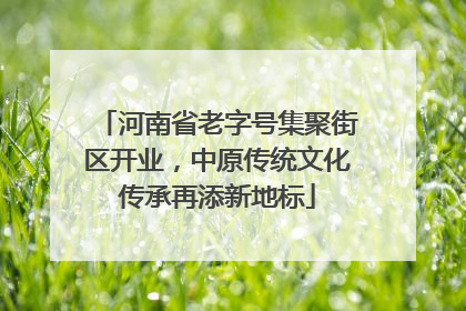 河南省老字号集聚街区开业，中原传统文化传承再添新地标