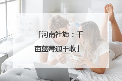 河南社旗：千亩蓝莓迎丰收