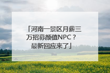 河南一景区月薪三万招募颜值NPC？最新回应来了