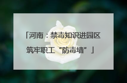 河南：禁毒知识进园区 筑牢职工“防毒墙”